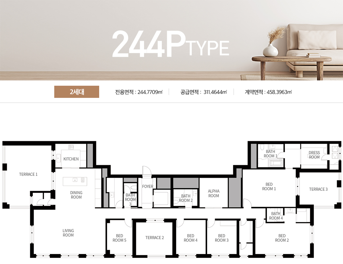 어나드 범어 244P형